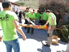 Pingada del Mayo 2016 de Cabrejas del Pinar