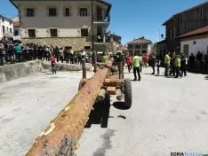 Pingada del Mayo 2016 de Cabrejas del Pinar