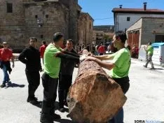 Pingada del Mayo 2016 de Cabrejas del Pinar