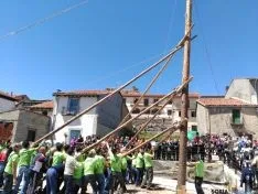 Pingada del Mayo 2016 de Cabrejas del Pinar