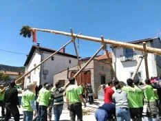 Pingada del Mayo 2016 de Cabrejas del Pinar