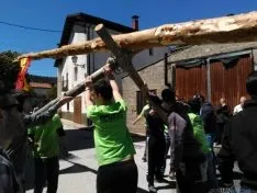 Pingada del Mayo 2016 de Cabrejas del Pinar