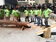 Pingada del Mayo 2016 de Cabrejas del Pinar