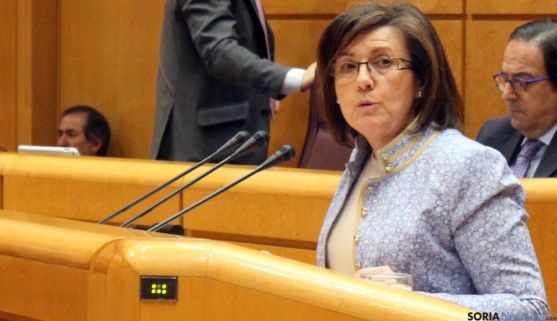 Marimar Angulo en una intervención en el Senado. / SN