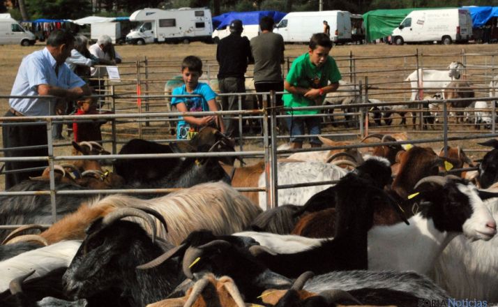 Una edición de la feria de Vinuesa./SN
