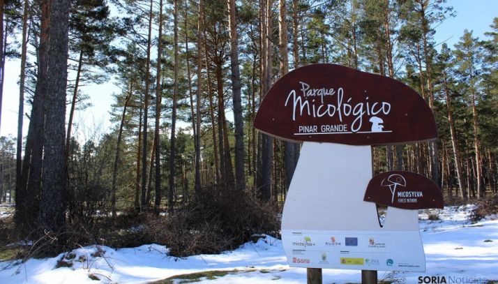 Imagen invernal del parque. 