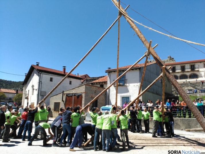 Últimos esfuerzos para erguir el Mayo de 2016 en la plaza de Cabrejas del Pinar