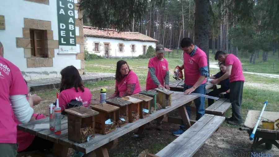 Preparación de nidos en El Amogable. /Junta