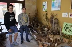 Foto 3 - El Machado luce su rica colecci&oacute;n de historia natural