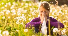 Un 20 por ciento de castellano-leoneses sufren alergías por el polen.