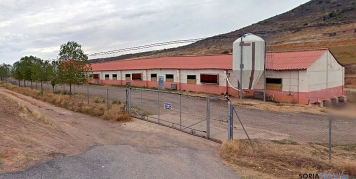 Explotación cunícola en Ágreda. / GM