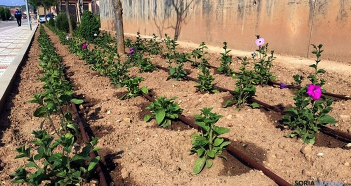 Uno de los jardines con el sistema instalado.