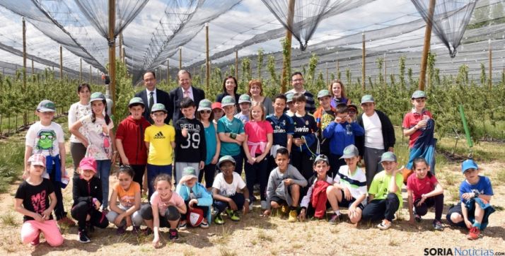 Los escolares en uno de los campos de frutales. / Jta.