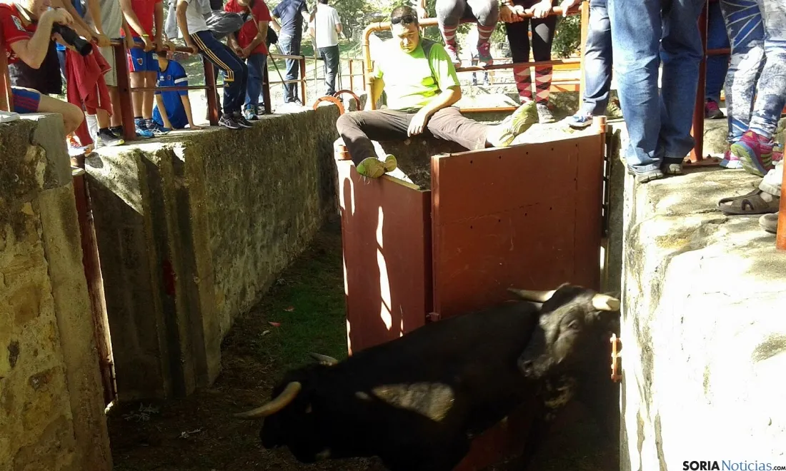 Imagen del encierro este Miércoles El Pregón. / SN