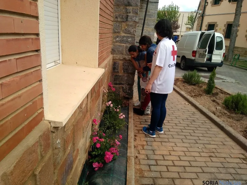 Imagen de las labores./Ainalb Alomar