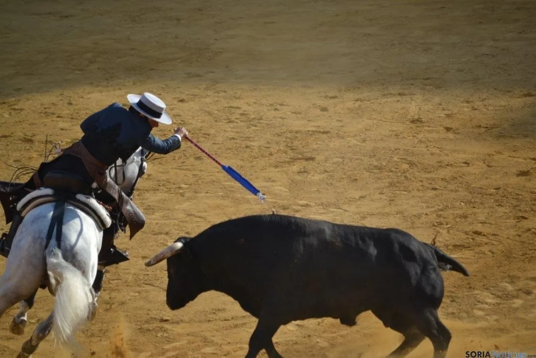 Toros del Miércoles El Pregón.
