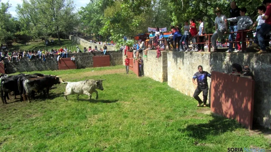 Desencajonamiento 2016 en Valonsadero /A.G