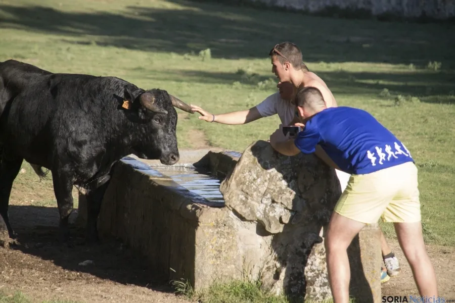 Imagen de la tarde del Lavalenguas 2016. / SN