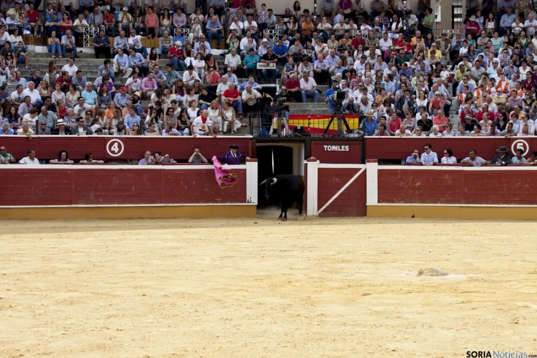 Rejones / María Ferrer