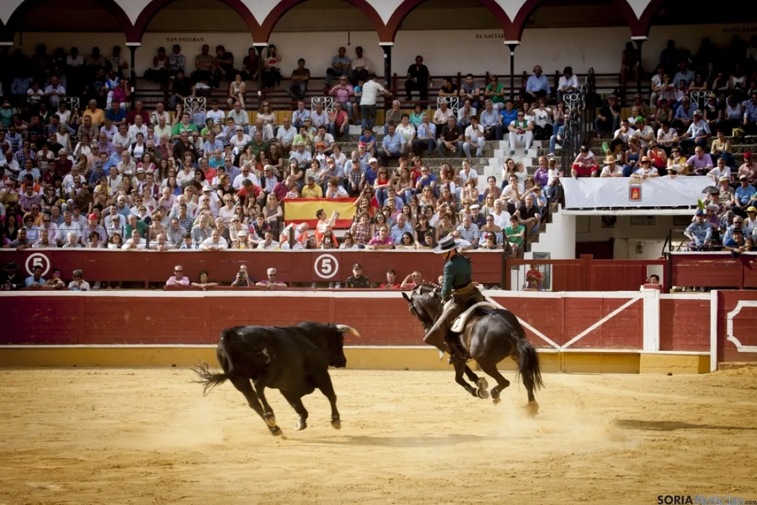Rejones / María Ferrer