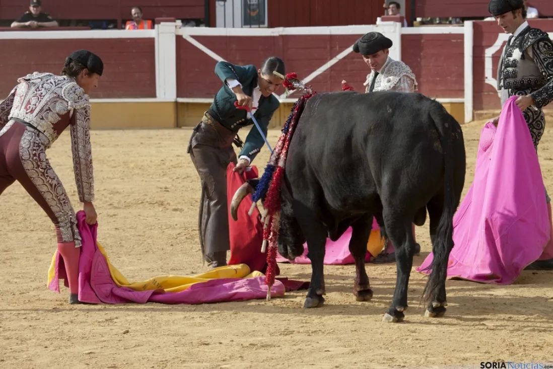 Rejones / María Ferrer