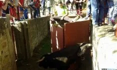 Imagen del encierro este Miércoles El Pregón. / SN