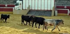 Desencajonamiento 2016 en la plaza de toros. /SN
