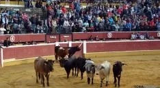 Desencajonamiento 2016 en la plaza de toros. /SN