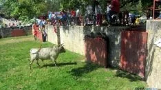 Desencajonamiento 2016 en Valonsadero /A.G