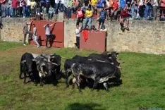 Desencajonamiento 2016 en Valonsadero /SN