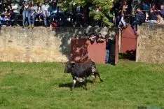 Desencajonamiento 2016 en Valonsadero /SN