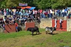 Desencajonamiento 2016 en Valonsadero /SN