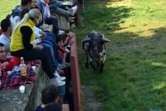 Desencajonamiento 2016 en Valonsadero. /SN
