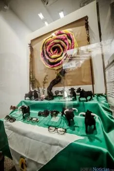 Escaparate General Óptica