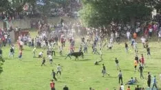 Galería fotográfica La Compra 2016. AG