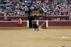 Rejones / María Ferrer