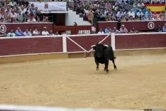 Rejones / María Ferrer