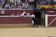 Rejones / María Ferrer