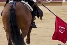 Rejones / María Ferrer