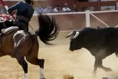 Rejones / María Ferrer