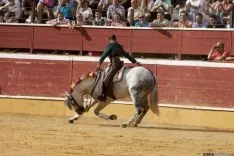 Rejones / María Ferrer