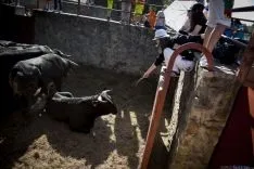 La Saca / María Ferrer