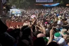 La Saca / María Ferrer