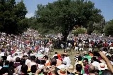 La Saca / María Ferrer