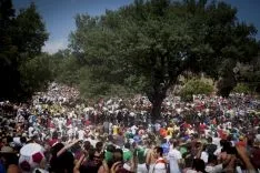 La Saca / María Ferrer