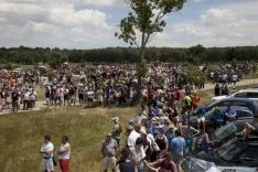La Saca / María Ferrer