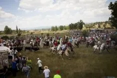 La Saca / María Ferrer