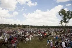 La Saca / María Ferrer