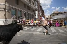 La Saca / María Ferrer