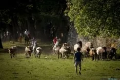 Imagen del encierro matinal de este Lavalenguas 2016./SN